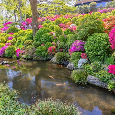 The Westin Tokyo-2